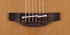 Takamine Acoustic-Electric Pro Series P3NC Nex Cutaway Body, Solid Cedar Top, Sapele Back & Side, CT4BII Preamp with Hard Case |  TAKAMINE |  ACOUSTIC GUITAR |  Zoso Music