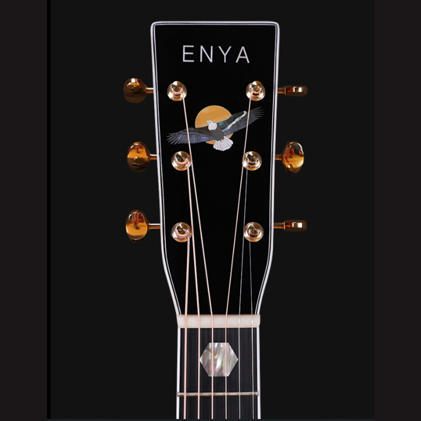Enya T10-D 41" Adirondack Red Spruce Solid Top Dreadnought Acoustic Guitar Abalone Inlay With Hardcase | ENYA , Zoso Music