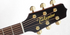 TAKAMINE P5J PRO SERIES ALL SOLID SPRUCE TOP, ROSEWOOD B&S JUMBO ACOUSTIC- ELECTRIC GUITAR, NATURAL GLOSS WITH EQ & GC000 CASE (MADE IN JAPAN) |  TAKAMINE |  ACOUSTIC GUITAR |  Zoso Music