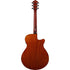 Ibanez AEG50L Left-Handed Acoustic Guitar - Black High Gloss (AEG50L-BKH) |  IBANEZ |  ACOUSTIC GUITAR |  Zoso Music