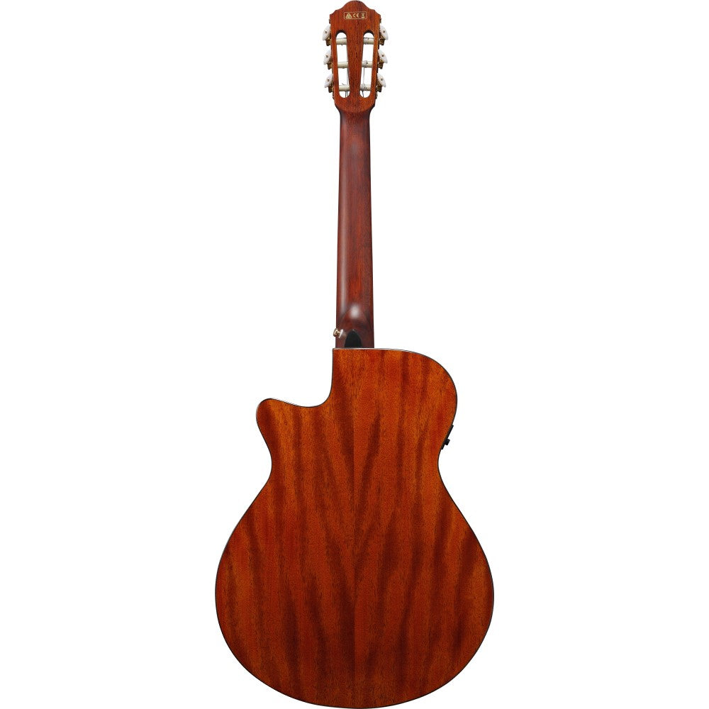 Ibanez AEG50N Acoustic Guitar - Black High Gloss (AEG50N-BKH) |  IBANEZ |  CLASSICAL GUITAR |  Zoso Music