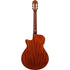 Ibanez AEG50N Acoustic Guitar - Black High Gloss (AEG50N-BKH) |  IBANEZ |  CLASSICAL GUITAR |  Zoso Music