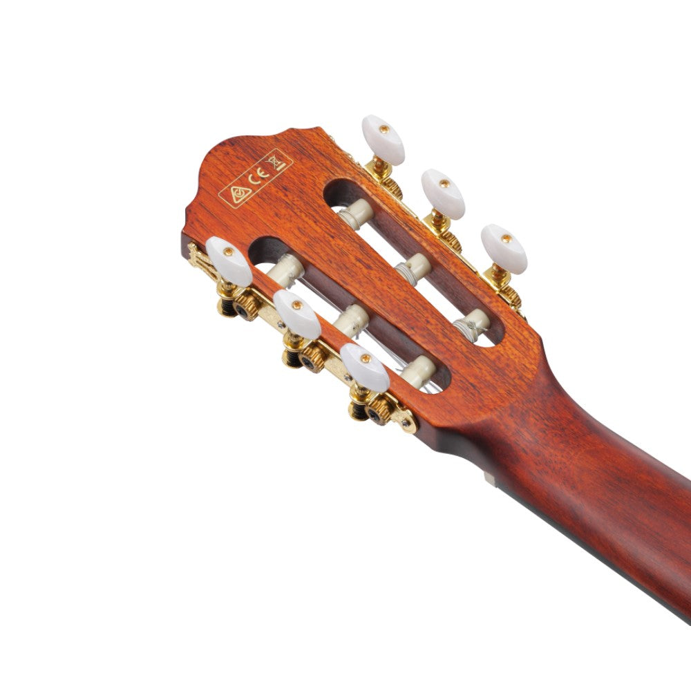 Ibanez AEG50N Acoustic Guitar - Black High Gloss (AEG50N-BKH) |  IBANEZ |  CLASSICAL GUITAR |  Zoso Music