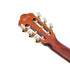 Ibanez AEG50N Acoustic Guitar - Black High Gloss (AEG50N-BKH) |  IBANEZ |  CLASSICAL GUITAR |  Zoso Music