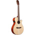 Ibanez AEG50N Acoustic Guitar - Natural High Gloss (AEG50N-NT) |  IBANEZ |  CLASSICAL GUITAR |  Zoso Music