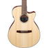 Ibanez AEG50N Acoustic Guitar - Natural High Gloss (AEG50N-NT) |  IBANEZ |  CLASSICAL GUITAR |  Zoso Music