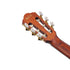 Ibanez AEG50N Acoustic Guitar - Natural High Gloss (AEG50N-NT) |  IBANEZ |  CLASSICAL GUITAR |  Zoso Music