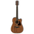 Ibanez AW54CE Acoustic Guitar w/Pickup - Open Pore Natural |  IBANEZ |  ACOUSTIC GUITAR |  Zoso Music
