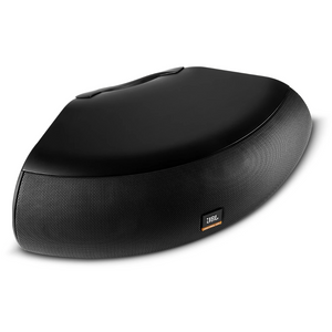 JBL Control CRV Weather-Resistant 70/100V Loudspeaker - Black, JBL, PASSIVE SPEAKER, jbl-passive-speaker-controlcrv-bk, ZOSO MUSIC SDN BHD