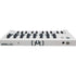Arturia Minilab Mkii 25 Keys Mini Controller (Keyboard Controller) | ARTURIA , Zoso Music