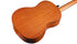 Cordoba Protege C1M - Spruce Top, Mahogany Back &amp; Side, Full Sized&nbsp; | CORDOBA , Zoso Music