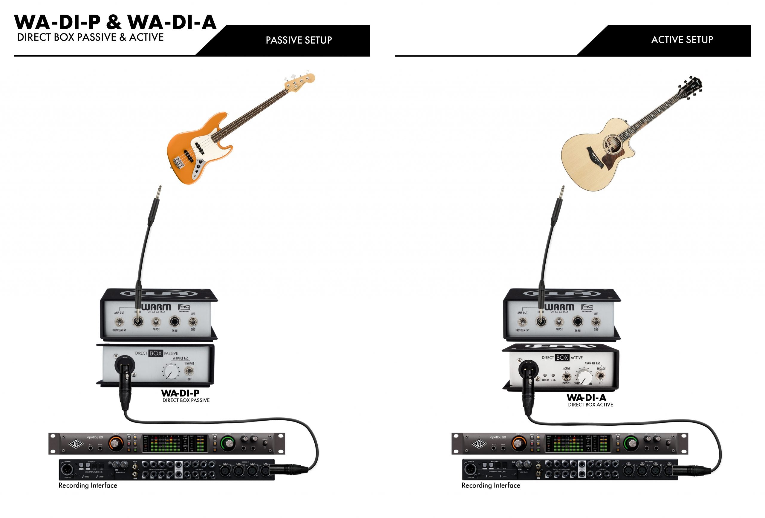 WARM AUDIO WA-DI-P PASSIVE DIRECT BOX |  WARM AUDIO |  AUDIO PROCESSOR |  Zoso Music