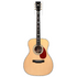 Enya T10-De 41" Adirondack Red Spruce Solid Top Dreadnought Acoustic Guitar Abalone Inlay EQ With Hardcase | ENYA , Zoso Music