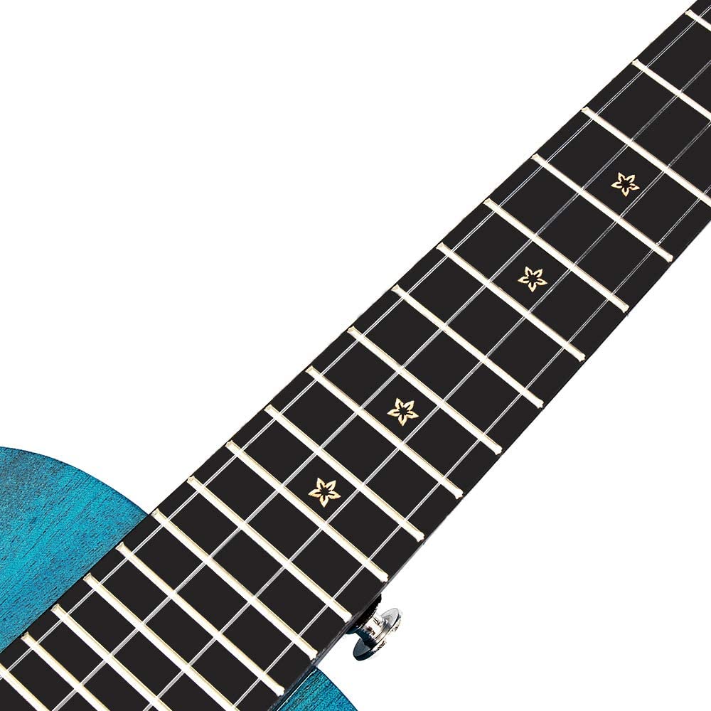 Enya EUC-25D 23" African Mahogany Concert Ukulele Blue With Bag And Accessories | ENYA , Zoso Music