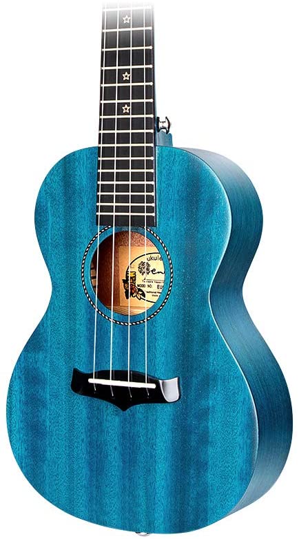 Enya EUC-25D 23" African Mahogany Concert Ukulele Blue With Bag And Accessories | ENYA , Zoso Music
