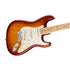 Fender American Professional Stratocaster Electric Guitar, Maple FB, Sienna Sunburst, FENDER, ELECTRIC GUITAR, fender-electric-guitar-f03-011-3012-747, ZOSO MUSIC SDN BHD