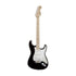 Fender Artist Eric Clapton Stratocaster Guitar, Maple Neck, Black |  FENDER |  ELECTRIC GUITAR |  Zoso Music
