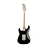 Fender Artist Eric Clapton Stratocaster Guitar, Maple Neck, Black |  FENDER |  ELECTRIC GUITAR |  Zoso Music