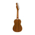 Fender Zuma Classic Concert Ukulele, Wanut FB, Burgundy Mist, FENDER, UKULELE, fender-ukulele-f03-097-1630-066, ZOSO MUSIC SDN BHD