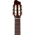 GODIN ARENA CW QIT NYLON STRING ELECTRIC CLASSICAL GUITAR MADE IN CANADA - NATURAL |  GODIN GUITAR |  CLASSICAL GUITAR |  Zoso Music