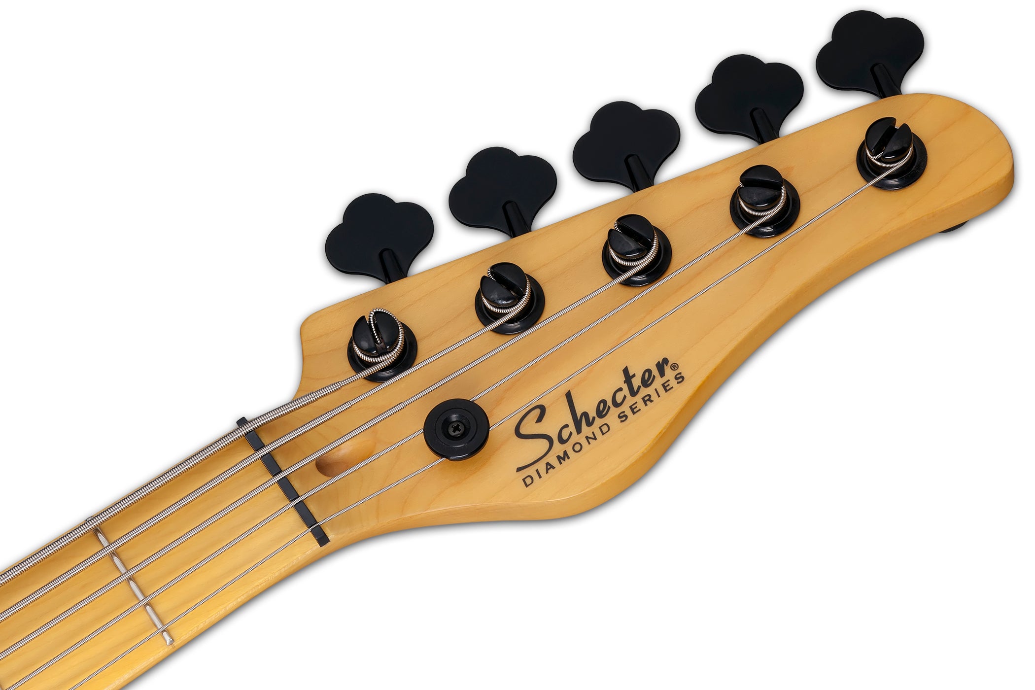 SCHECTER MODEL-T SESSION-5 STRING BASS GUITAR - AGED NATURAL SATIN (2847) MADE IN KOREA, SCHECTER, BASS GUITAR, schecter-bass-guitar-modelt-session5-ans, ZOSO MUSIC SDN BHD