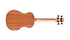 Cordoba Mini II Bass MH-E - Mahogany Top, Mahagony Back &amp; Sides with Pickup | CORDOBA , Zoso Music