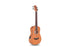Cordoba Mini II Bass MH-E - Mahogany Top, Mahagony Back &amp; Sides with Pickup | CORDOBA , Zoso Music