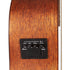 Ibanez Performance Series Pf12mhce Dreadnought All Mahogany Open Pore |  IBANEZ |  ACOUSTIC GUITAR |  Zoso Music