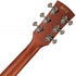 Ibanez Performance Series Pf12mhce Dreadnought All Mahogany Open Pore |  IBANEZ |  ACOUSTIC GUITAR |  Zoso Music