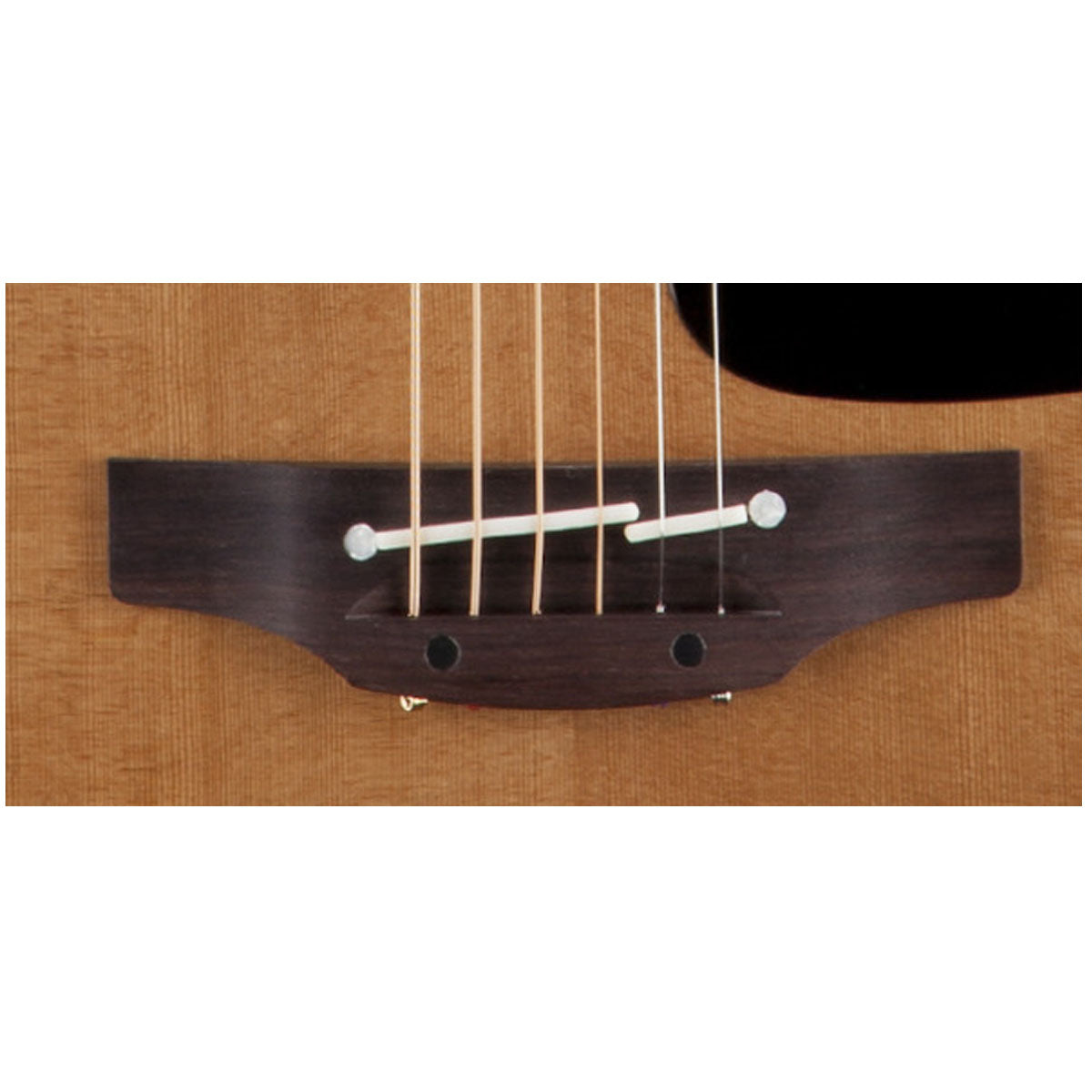 Takamine Acoustic-Electric P1DC Pro Series Dreadnought Cutaway Solid Cedar Top Sapele B/S, CT4BII Preamp & Hard Case