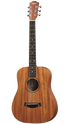 TAYLOR BT2 - MAHOGANY TOP WITH BAG (BT 2 / BT-2), TAYLOR, ACOUSTIC GUITAR, taylor-acoustic-guitar-bt2, ZOSO MUSIC SDN BHD