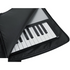 GATOR ECONOMY 88 KEYS KEYBOARD GIG BAG GKBE-88, GATOR, CASES & GIG BAGS, gator-cases-gig-bags-gkbe-88, ZOSO MUSIC SDN BHD