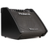 Roland PM-100 80-Watt 1x10 2-Channel Powered Drum Monitor (PM100 / PM 100), ROLAND, DRUM AMPLIFIER, roland-drum-amplifier-pm-100, ZOSO MUSIC SDN BHD