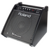 Roland PM-100 80-Watt 1x10 2-Channel Powered Drum Monitor (PM100 / PM 100), ROLAND, DRUM AMPLIFIER, roland-drum-amplifier-pm-100, ZOSO MUSIC SDN BHD