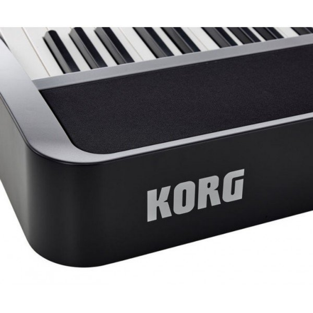 Korg B2N Digital Piano - Black (B2-N/B2 N), KORG, DIGITAL PIANO, korg-digital-piano-b2n, ZOSO MUSIC SDN BHD