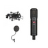 SE Electronics sE2200 II Large-diaphragm Condenser Microphone, SE ELECTRONICS, CONDENSER MICROPHONE, se-electronics-microphone-se2200, ZOSO MUSIC SDN BHD