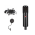 SE Electronics sE2300 Large-diaphragm Condenser Microphone, SE ELECTRONICS, CONDENSER MICROPHONE, se-electronics-microphone-se2300, ZOSO MUSIC SDN BHD