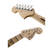 Fender Artist Yngwie Malmsteen Stratocaster Guitar, Scalloped Maple Neck, Vintage White |  FENDER |  ELECTRIC GUITAR |  Zoso Music