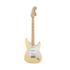 Fender Artist Yngwie Malmsteen Stratocaster Guitar, Scalloped Maple Neck, Vintage White |  FENDER |  ELECTRIC GUITAR |  Zoso Music
