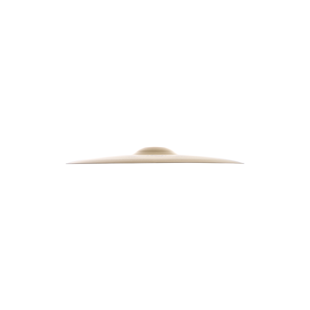 Zildjian A0231 17