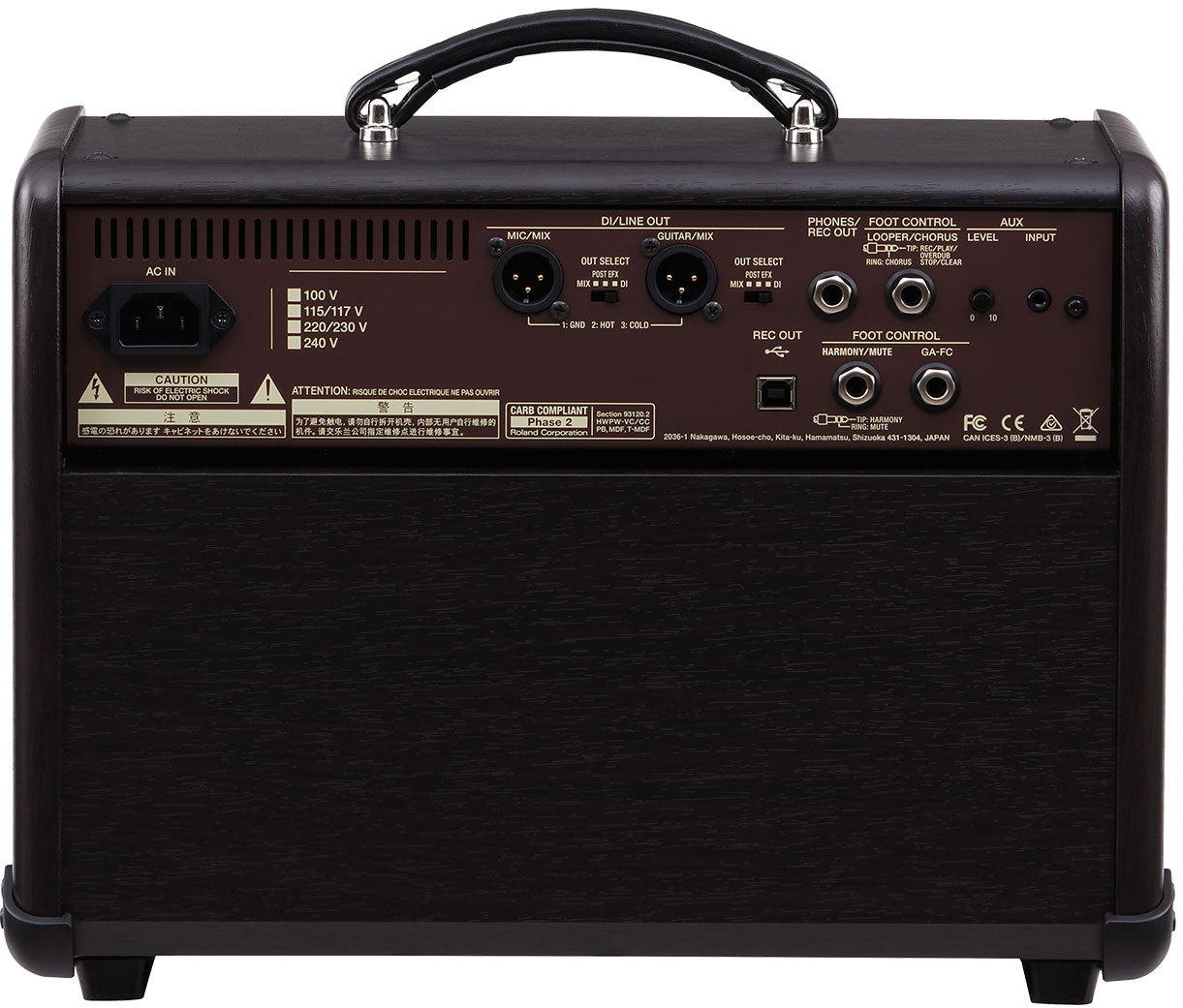 Boss Acoustic Singer Live LT 60-watt Bi-amp Acoustic Combo | BOSS , Zoso Music