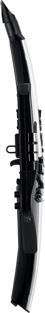 Roland Aerophone Pro AE-30 Digital Wind Instrument - Silver |  ROLAND |  WOODWINDS-DIGITAL |  Zoso Music