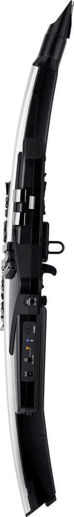 Roland Aerophone Pro AE-30 Digital Wind Instrument - Silver |  ROLAND |  WOODWINDS-DIGITAL |  Zoso Music