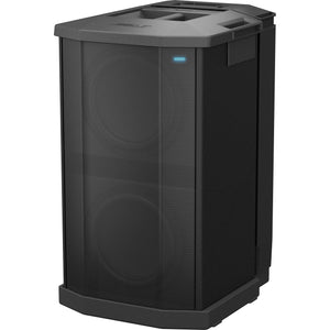 Bose F1 Powered Subwoofer | BOSE , Zoso Music