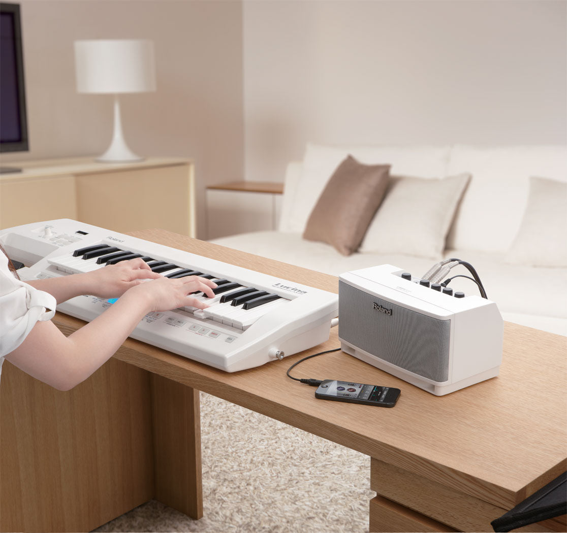 Roland CUBE Lite Monitor 2.1 Stereo Monitoring System (CUBE-LM), ROLAND, GUITAR AMPLIFIER, roland-guitar-amplifier-cube-lm-wh, ZOSO MUSIC SDN BHD