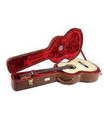 Cordoba Humidified Archtop Wood Case CL/FL Full Size Brown | CORDOBA , Zoso Music