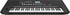 Roland E-X50 61-Key Arranger Keyboard |  ROLAND |  KEYBOARD-ARRANGER |  Zoso Music