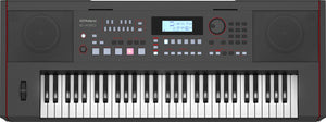 Roland E-X50 61-Key Arranger Keyboard |  ROLAND |  KEYBOARD-ARRANGER |  Zoso Music