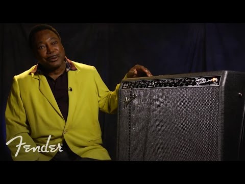 Fender Artist George Benson Twin Reverb Guitar Combo Amplifier, 230V