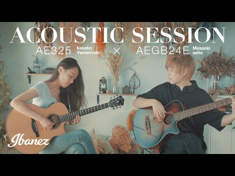 Ibanez AEGB24E-BKH AEG Series Acoustic Electric Bass, Black High Gloss